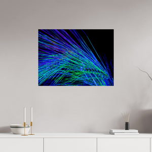 80 x 60 cm, Tirage simple sur papier photo Fuji Crystal Pearl Danse des Épis Électriques