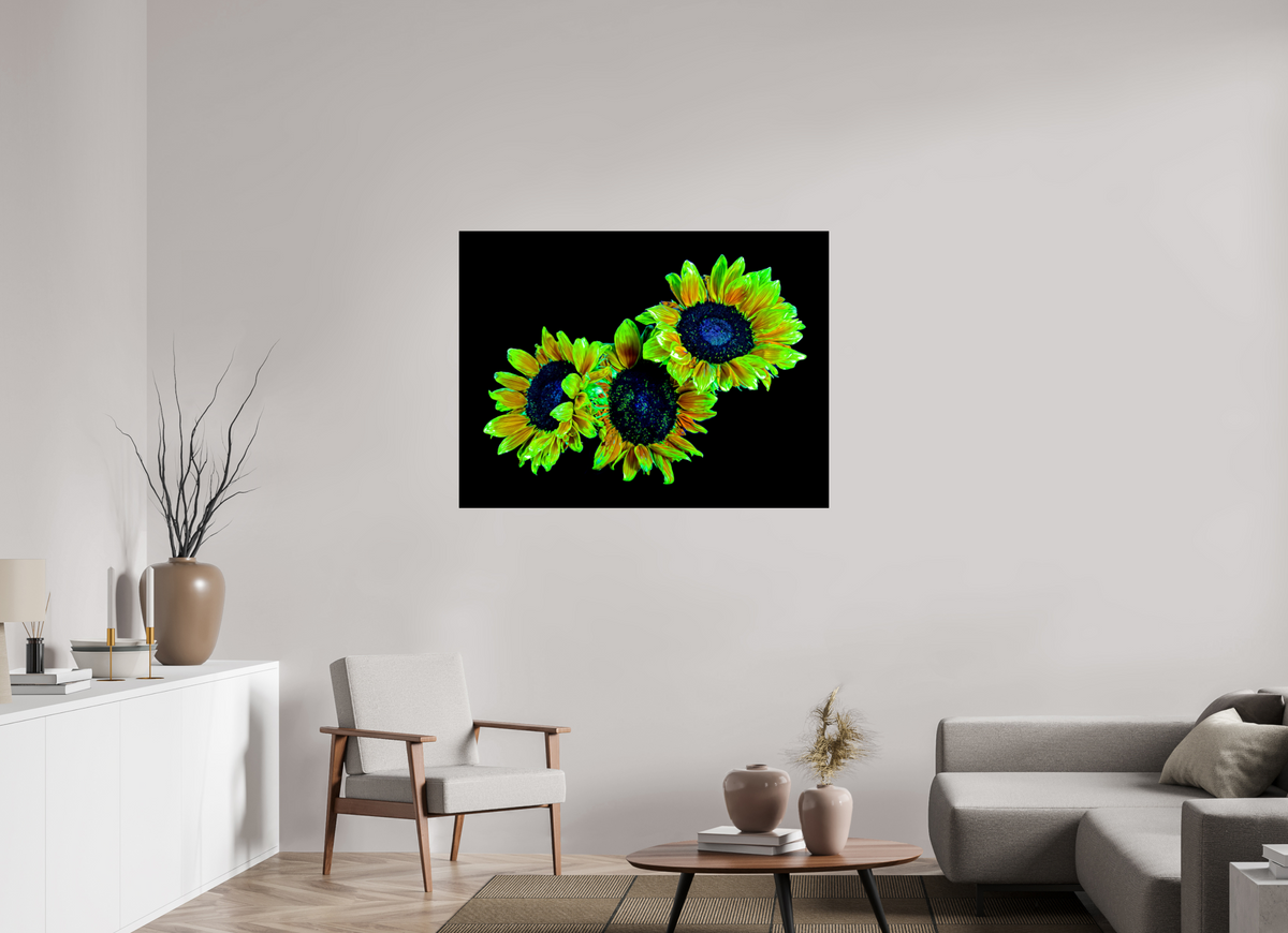 120 x 90 cm, Tirage simple sur papier photo Fuji Crystal Pearl Les gardiens du jour endormi