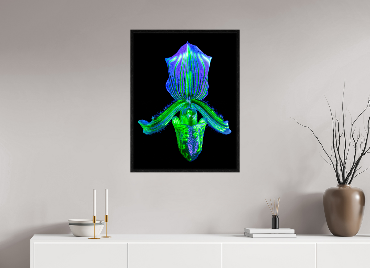 60 x 80 cm, Caisse américaine Noire L’Éclat Secret du Désir