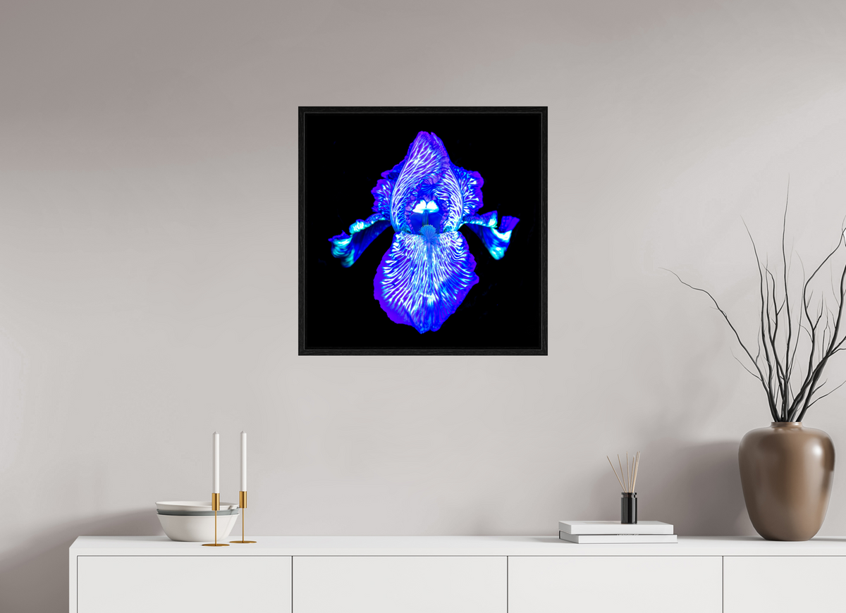 60 x 60 cm, Caisse américaine Noire Iris des Profondeurs Lumineuses