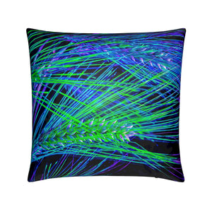 "Where Light Lines Run" Cushions