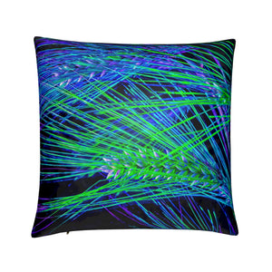 "Where Light Lines Run" Cushions