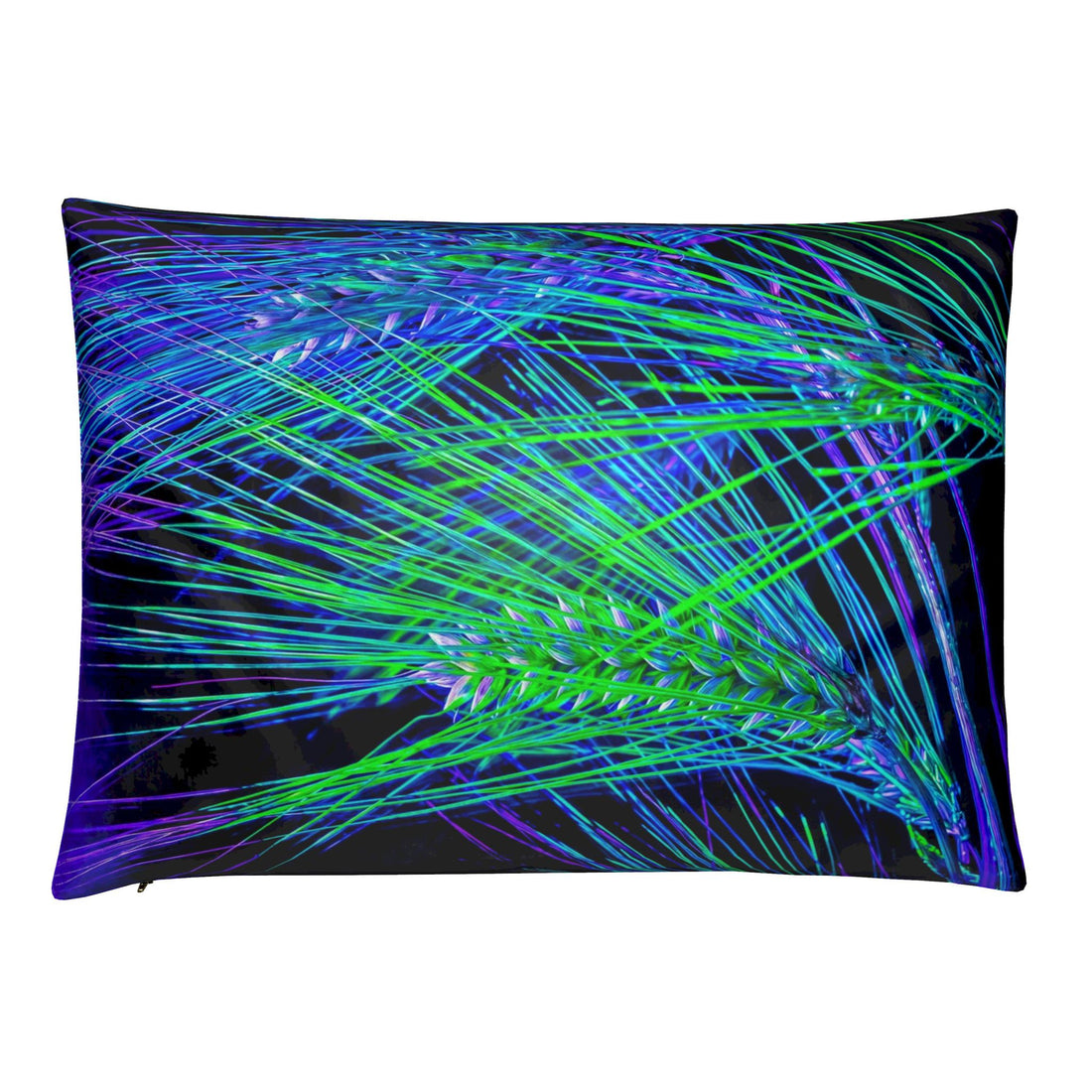 "Where Light Lines Run" Cushions
