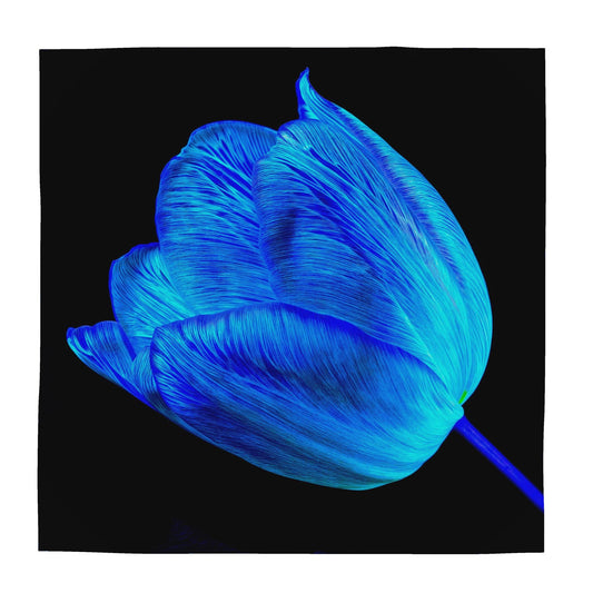 Foulard carré en Soie « Tulipe »