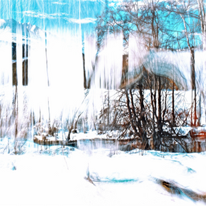 Main image La Forêt qui chante la neige