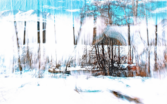Main image La Forêt qui chante la neige