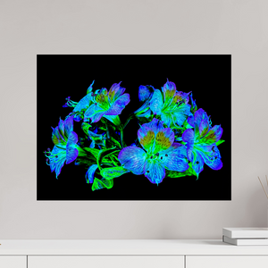 60 x 45 cm, Tirage simple sur papier photo Fuji Crystal Pearl Constellation Florale
