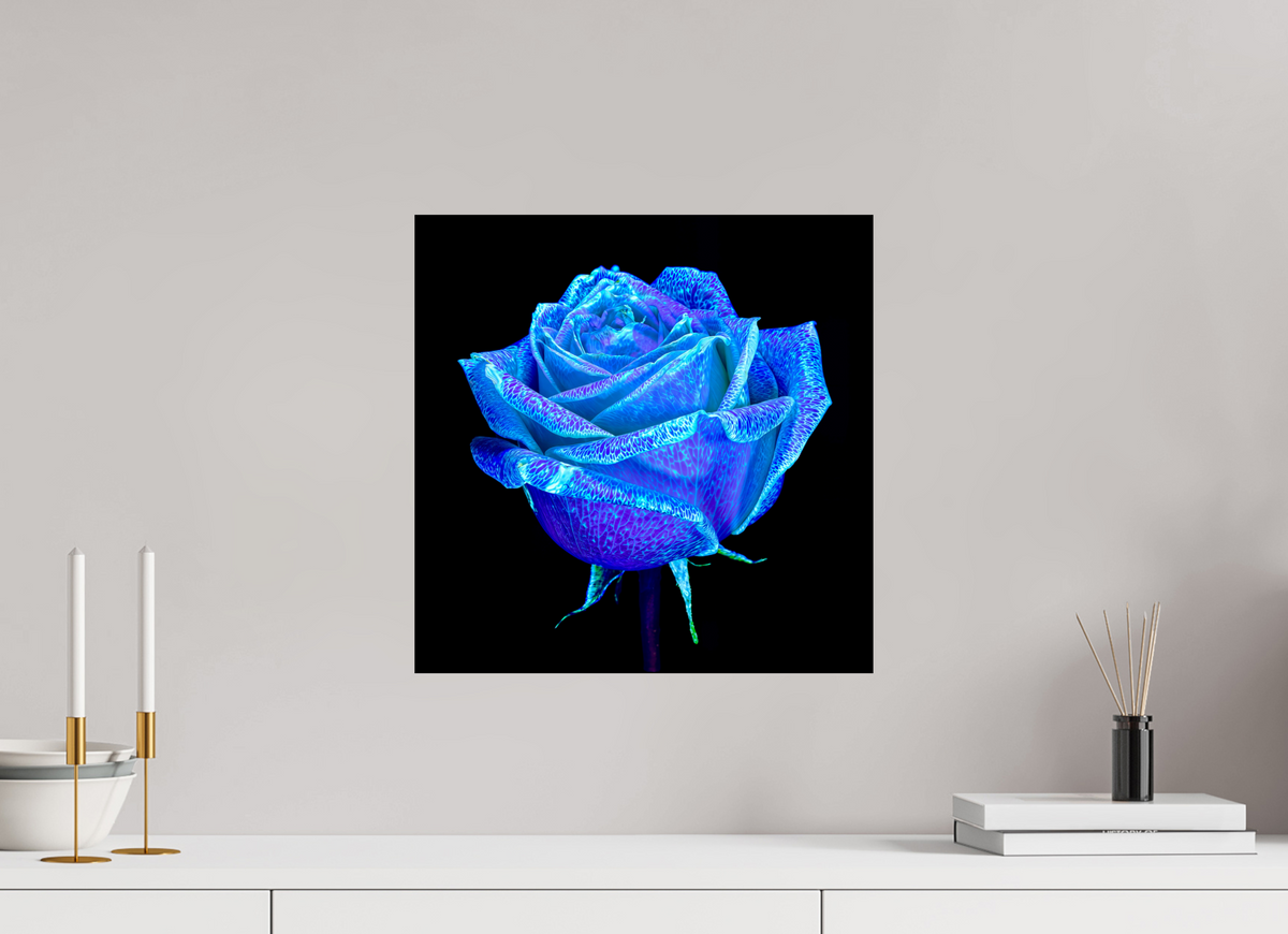 40 x 40 cm, Tirage photo contrecollé sur Dibond La Rose qui Rêvait le Ciel