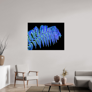 120 x 90 cm, Tirage photo contrecollé sur Dibond La Fougère qui Murmure à la Nuit