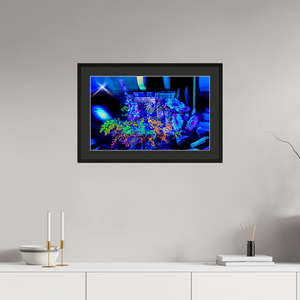 64 x 40 cm, 5 Cadre Noir : Passe-Partout Noir lisière Blanche Le bouquet où nos rêves s’illuminent