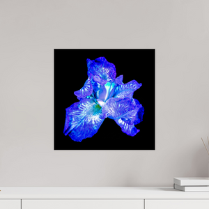 40 x 40 cm, Tirage simple sur papier photo Fuji Crystal Pearl L’Opale des Ombres