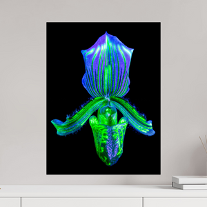 45 x 60 cm, Tirage photo sous Verre acrylique L’Éclat Secret du Désir