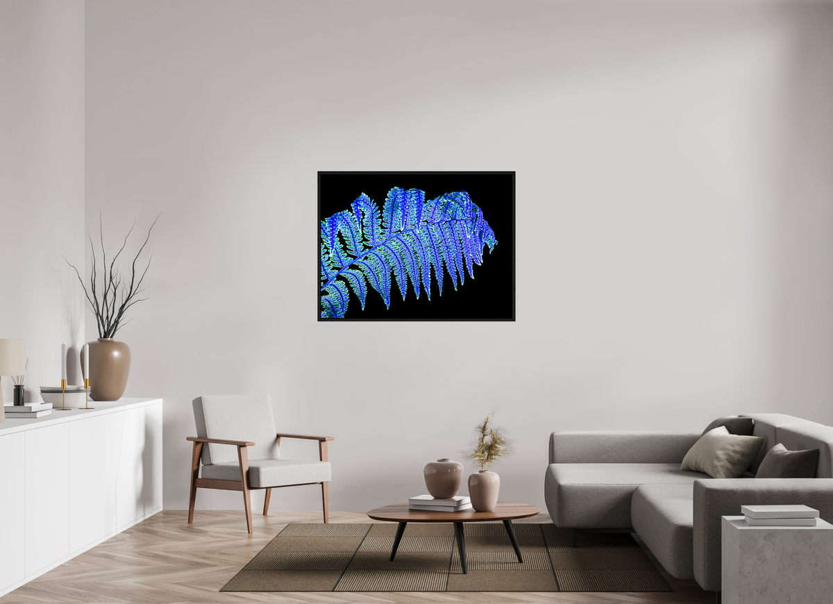 120 x 90 cm, Caisse américaine Noire La Fougère qui Murmure à la Nuit