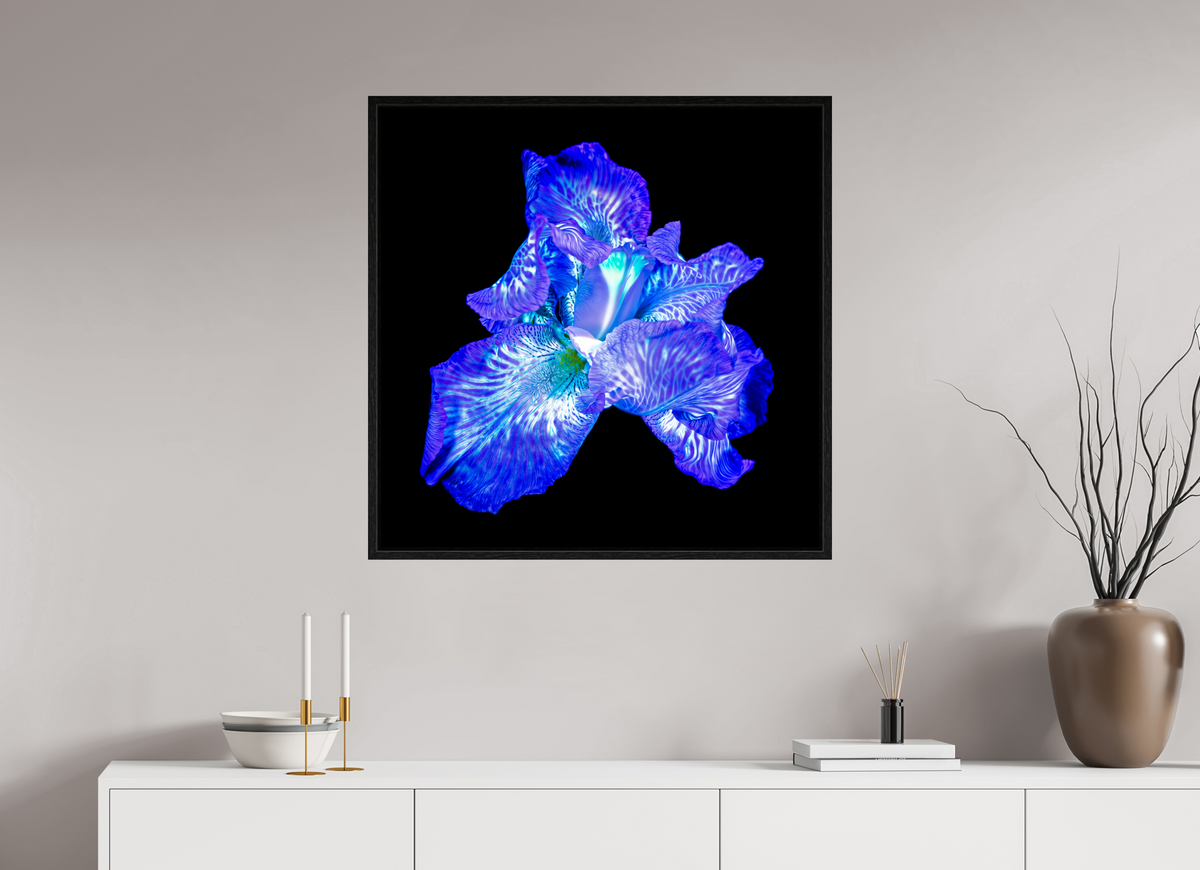 80 x 80 cm, Caisse américaine Noire L’Opale des Ombres