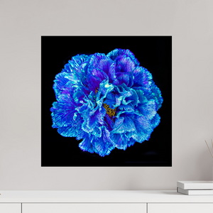 50 x 50 cm, Tirage photo contrecollé sur Dibond Le Cœur Bleu qui S’ouvre à la Nuit