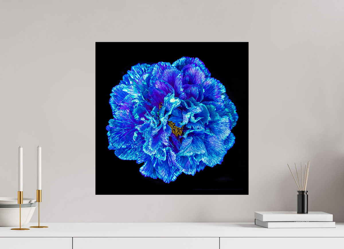 50 x 50 cm, Tirage photo contrecollé sur Dibond Le Cœur Bleu qui S’ouvre à la Nuit