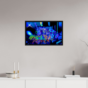 64 x 40 cm, 8 Caisse américaine Noire Le bouquet où nos rêves s’illuminent