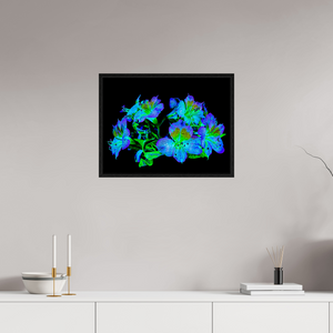 60 x 45 cm, Caisse américaine Noire Constellation Florale