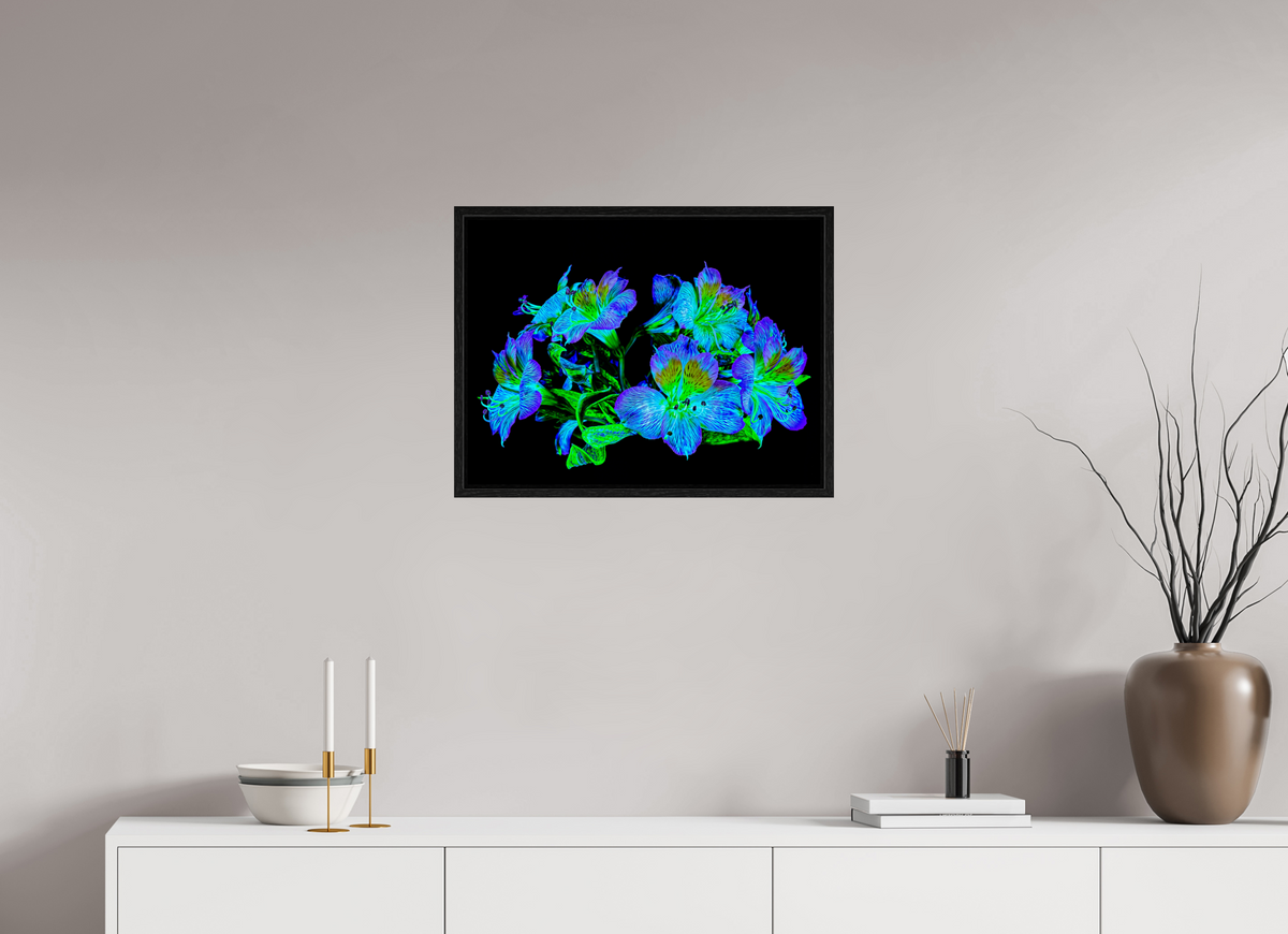 60 x 45 cm, Caisse américaine Noire Constellation Florale