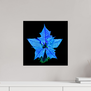40 x 40 cm, Tirage photo sous Verre acrylique La Fleur Cosmique Qui Murmure Ton Nom