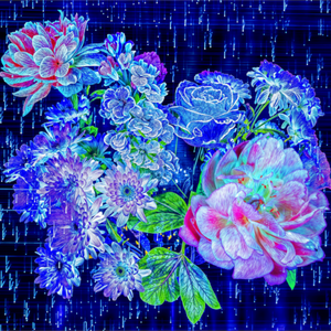 Main image Floraisons au cœur du code stellaire