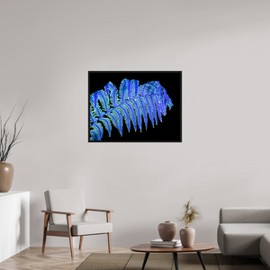 100 x 75 cm, Caisse américaine Noire La Fougère qui Murmure à la Nuit
