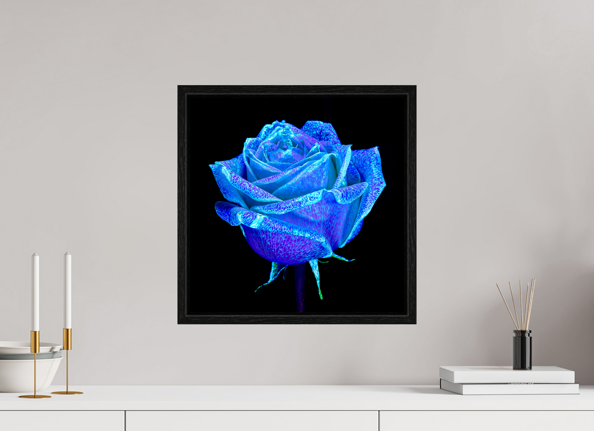 40 x 40 cm, Caisse américaine Noire La Rose qui Rêvait le Ciel