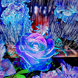 Main image Lorsque la lumière se souvient des fleurs