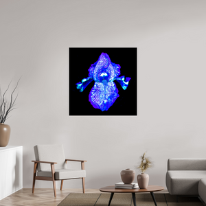 100 x 100 cm, Tirage simple sur papier photo Fuji Crystal Pearl Iris des Profondeurs Lumineuses