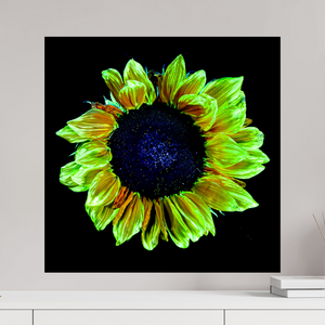 60 x 60 cm, Tirage simple sur papier photo Fuji Crystal Pearl Couronne de lumière
