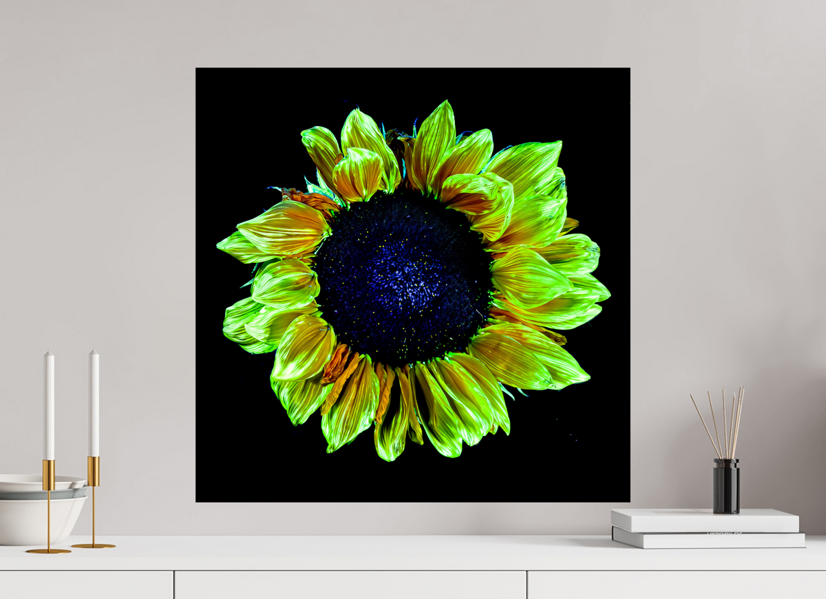 60 x 60 cm, Tirage simple sur papier photo Fuji Crystal Pearl Couronne de lumière