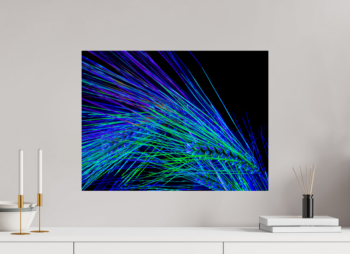 60 x 45 cm, Tirage photo sous Verre acrylique Danse des Épis Électriques