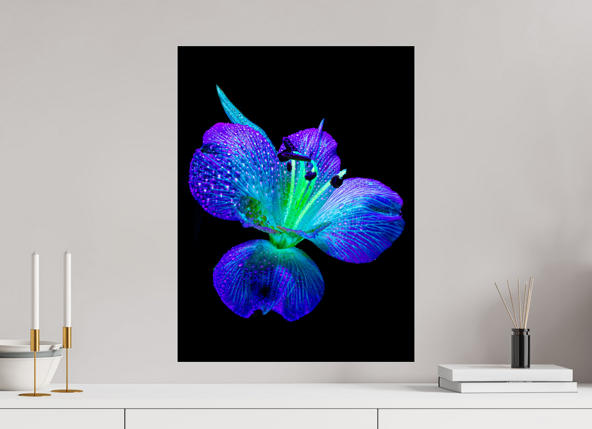 45 x 60 cm, Tirage photo sous Verre acrylique L’éclat des ailes dans la rosée