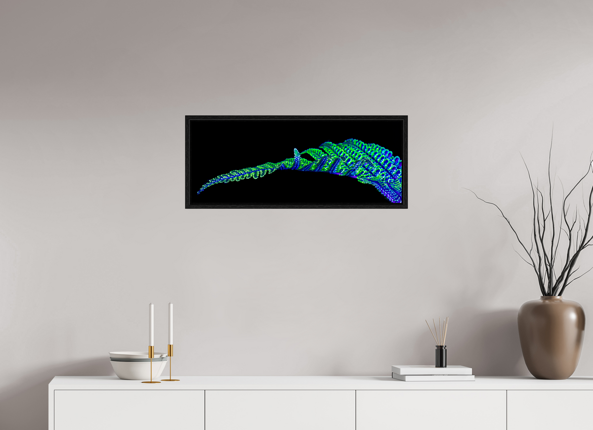 77,6 x 30 cm, Caisse américaine Noire La Ligne des Origines