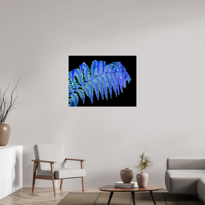 100 x 75 cm, Tirage photo sous Verre acrylique La Fougère qui Murmure à la Nuit