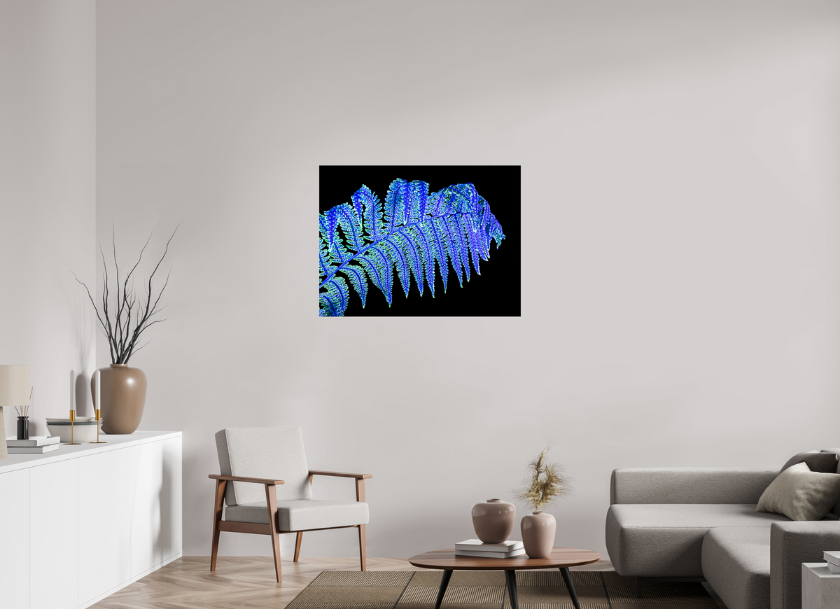 100 x 75 cm, Tirage photo sous Verre acrylique La Fougère qui Murmure à la Nuit