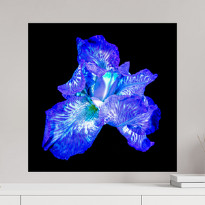 60 x 60 cm, Tirage simple sur papier photo Fuji Crystal Pearl L’Opale des Ombres