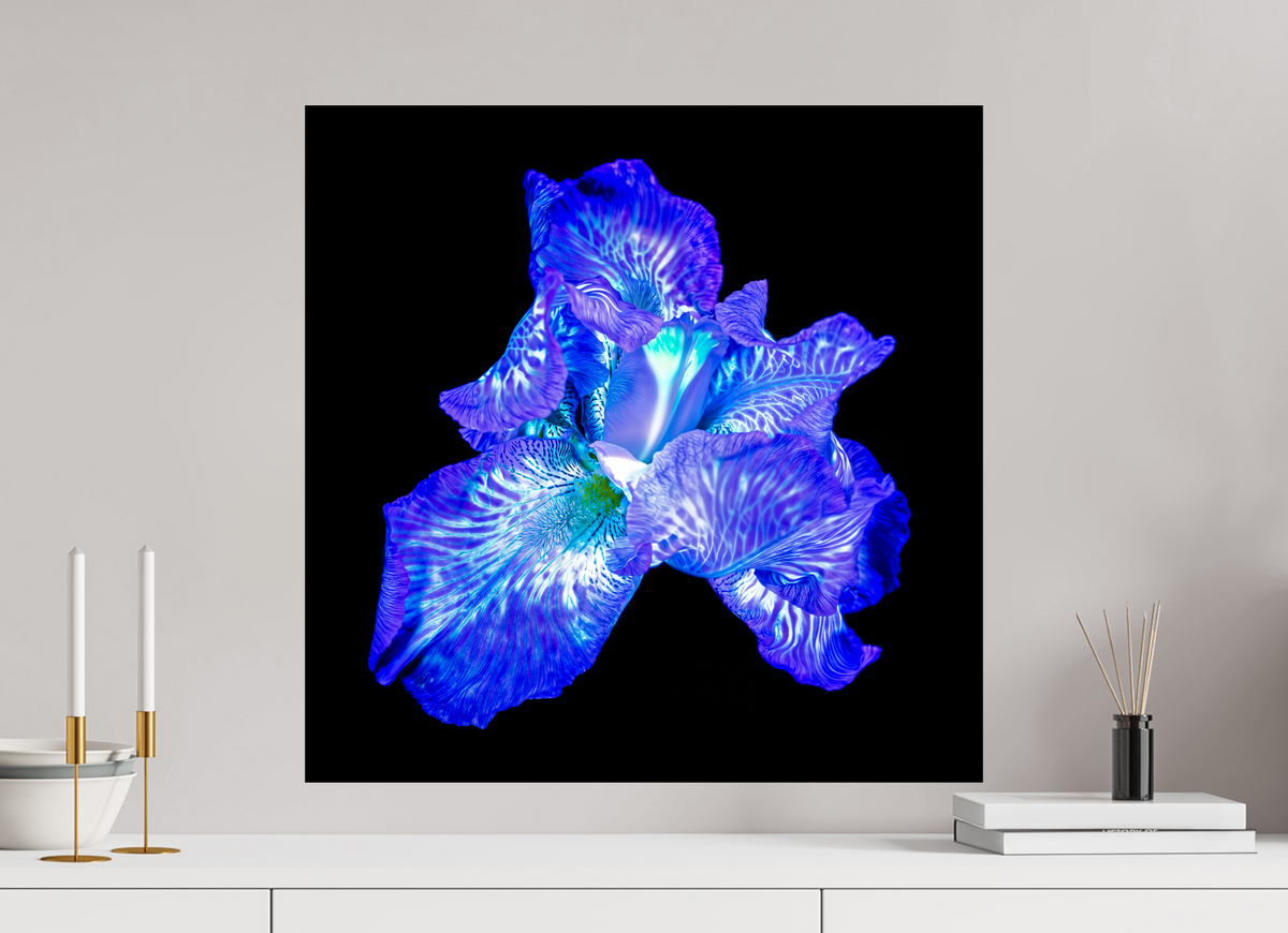 60 x 60 cm, Tirage simple sur papier photo Fuji Crystal Pearl L’Opale des Ombres