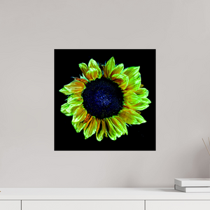 40 x 40 cm, Tirage simple sur papier photo Fuji Crystal Pearl Couronne de lumière