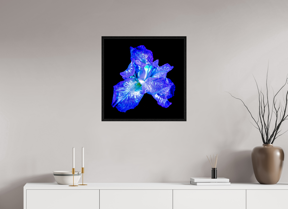 60 x 60 cm, Caisse américaine Noire L’Opale des Ombres