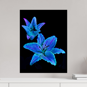 45 x 60 cm, Tirage simple sur papier photo Fuji Crystal Pearl Dialogue des Cœurs Stellaires