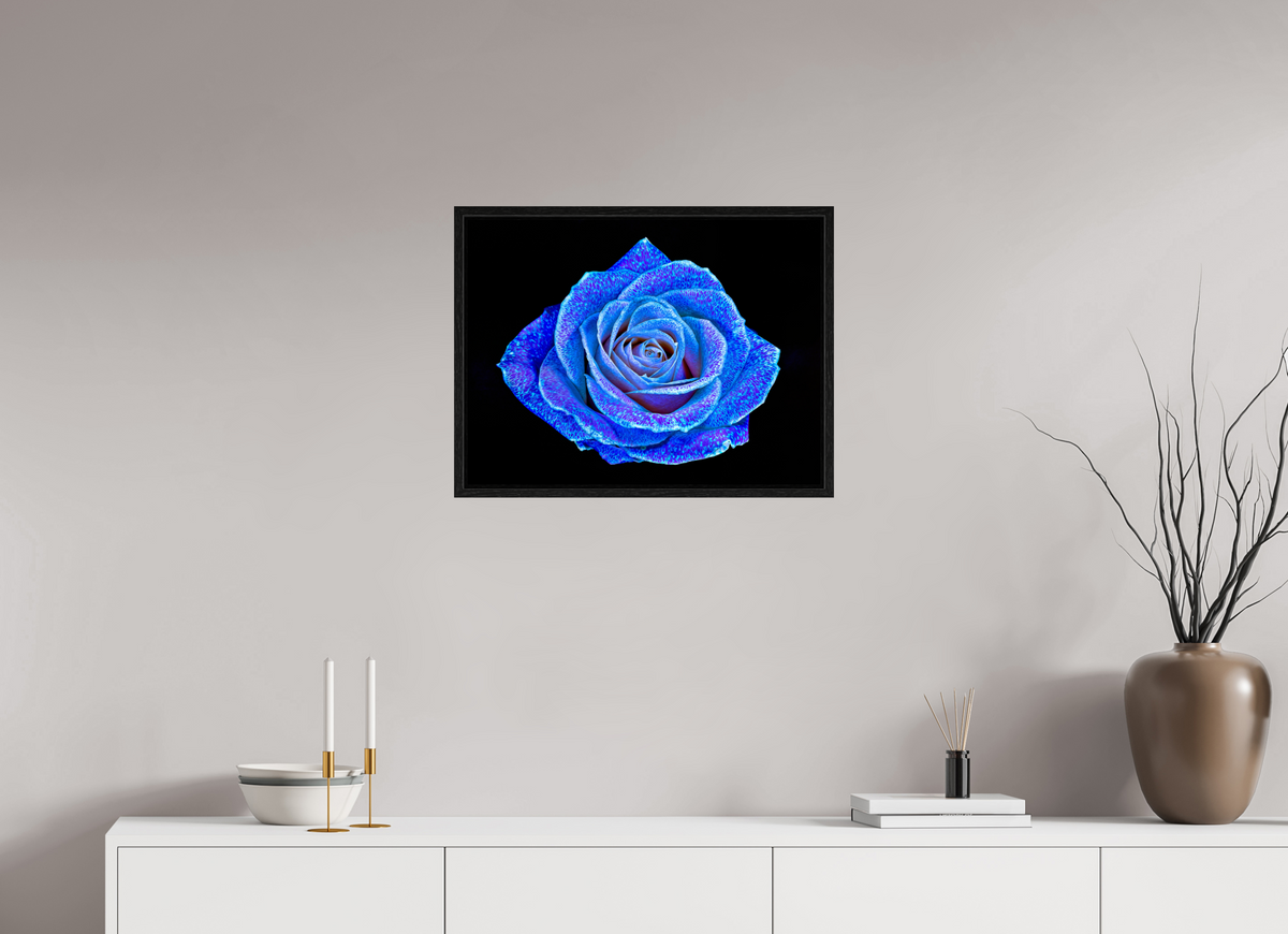 60 x 45 cm, Caisse américaine Noire La Rose aux mille constellations