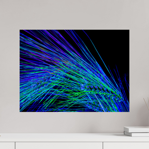 60 x 45 cm, Tirage photo contrecollé sur Dibond Danse des Épis Électriques
