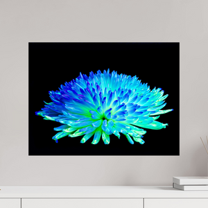60 x 45 cm, Tirage simple sur papier photo Fuji Crystal Pearl Éclat d’un Monde Inconnu