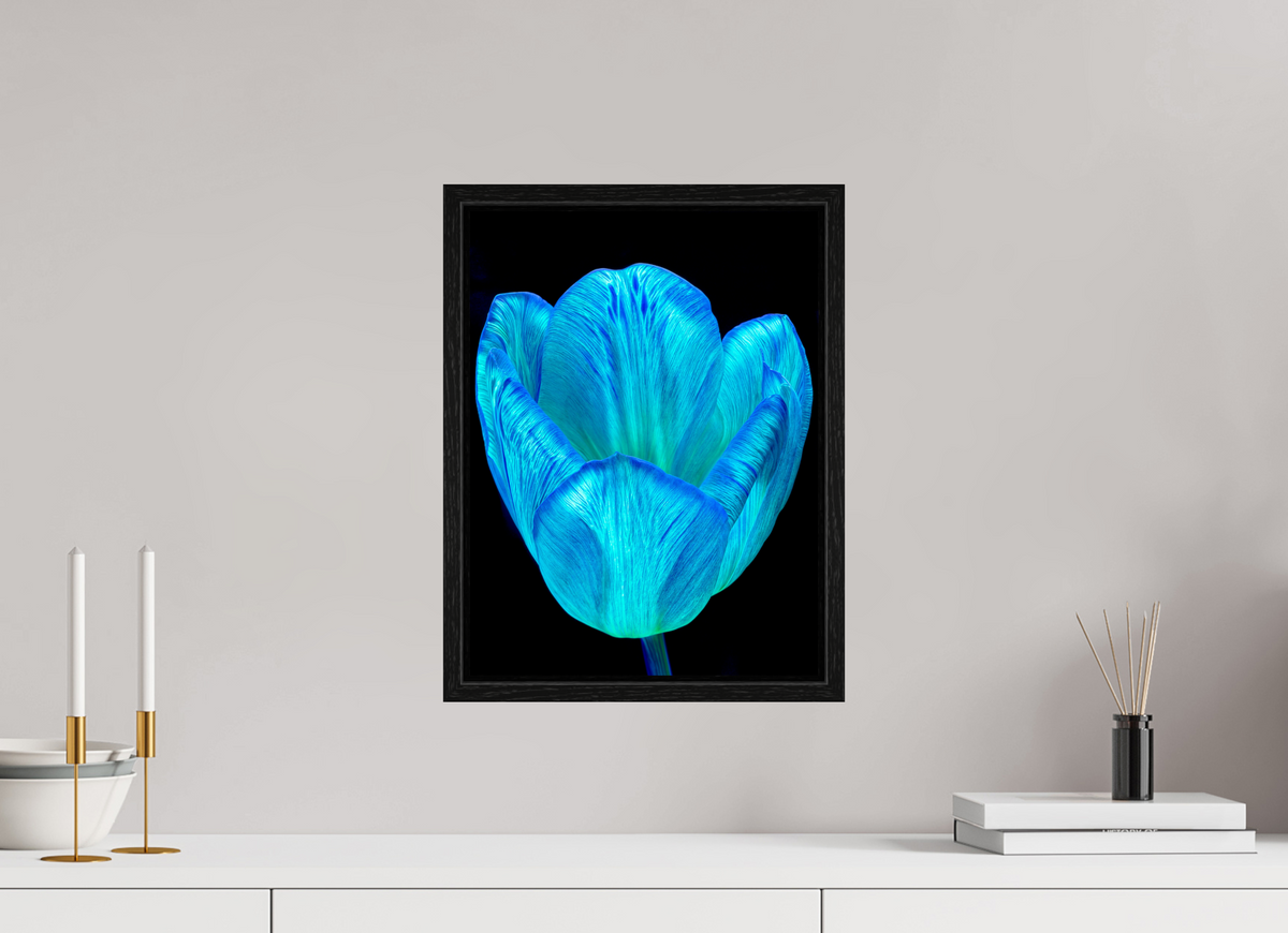 30 x 40 cm, Caisse américaine Noire Calice de lumière