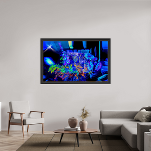 160 x 100 cm, 11 Cadre Noir-Or Le bouquet où nos rêves s’illuminent