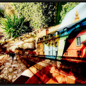 Main image Les maisons sous l’écorce du monde