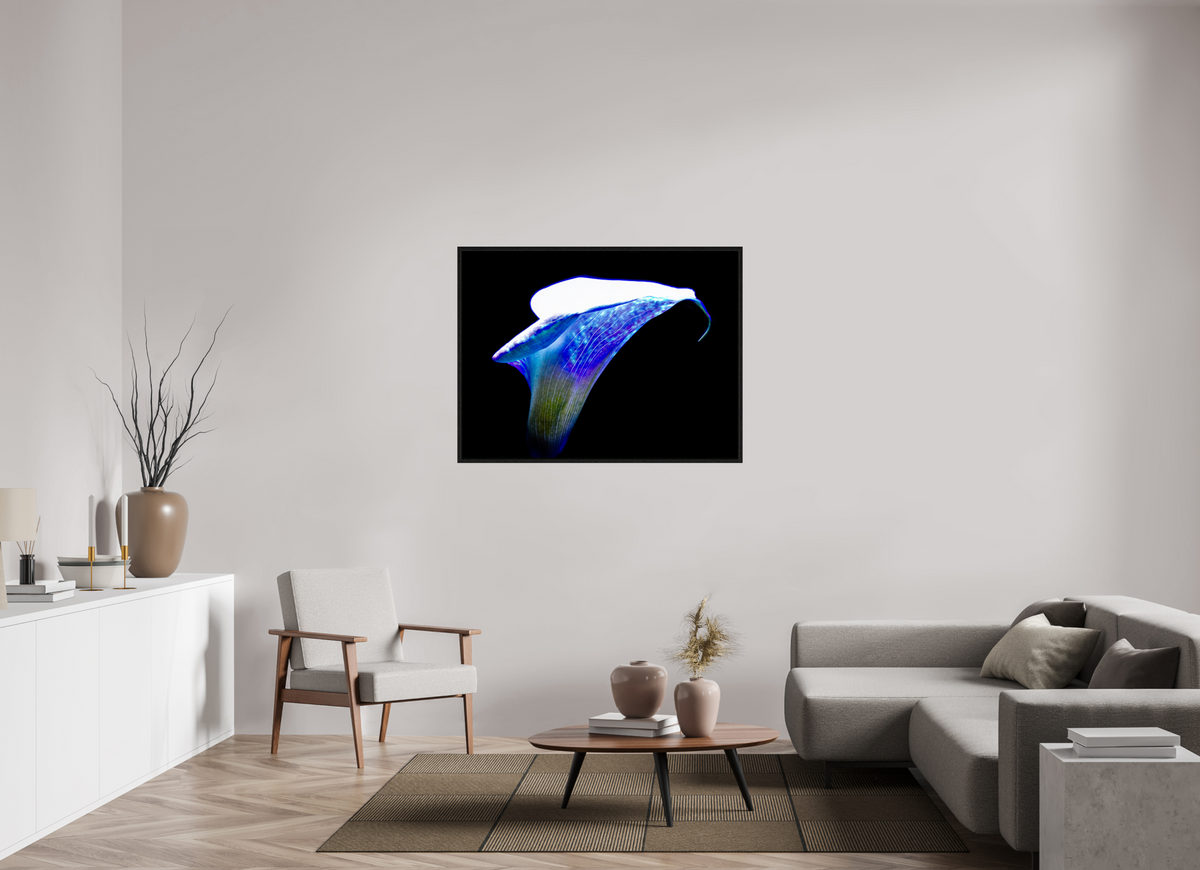 120 x 90 cm, Caisse américaine Noire L’Aile de Lumière La Voix des Éthers