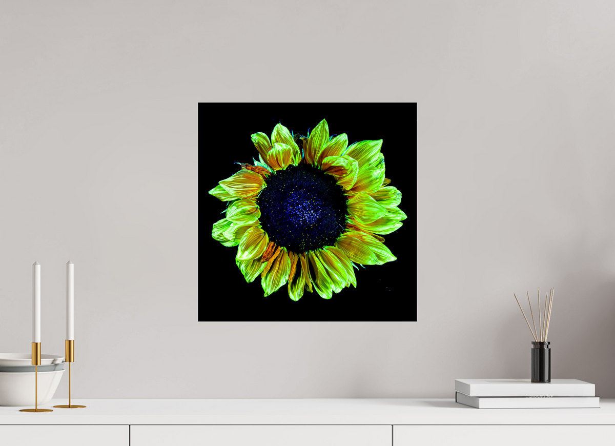 40 x 40 cm, Tirage photo contrecollé sur Dibond Couronne de lumière