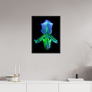 45 x 60 cm, Caisse américaine Noire L’Éclat Secret du Désir